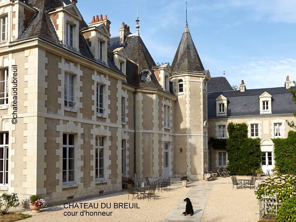 Chateau Du Breuil Cheverny Dış mekan fotoğraf
