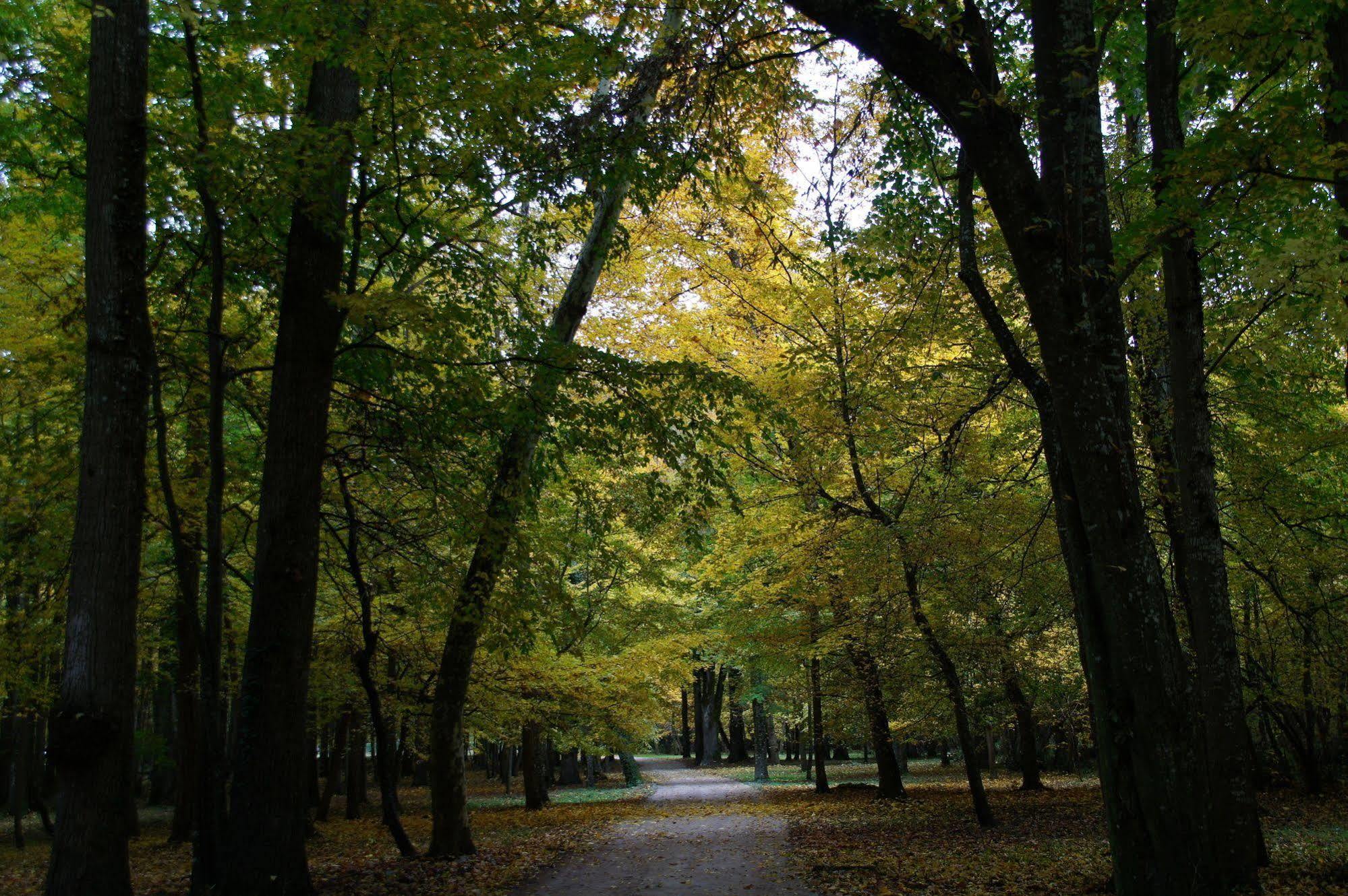 Chateau Du Breuil Cheverny Dış mekan fotoğraf